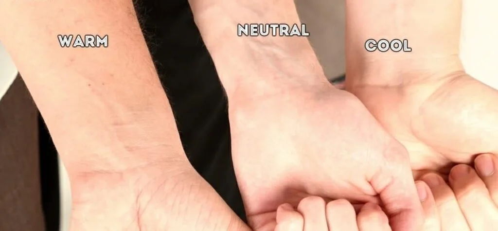 Warm, Cool, and Neutral Skin Undertones