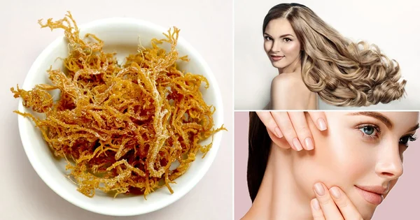 Benefits of sea moss