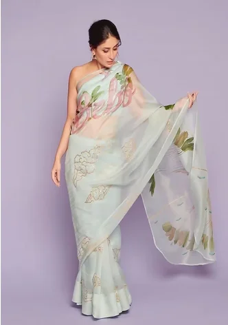 Organza Saree Draping Style