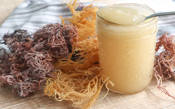 How to Use Sea Moss for Your Skin