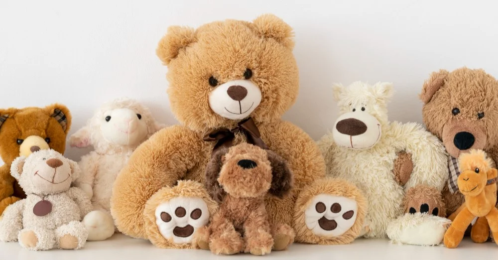Teddy Day